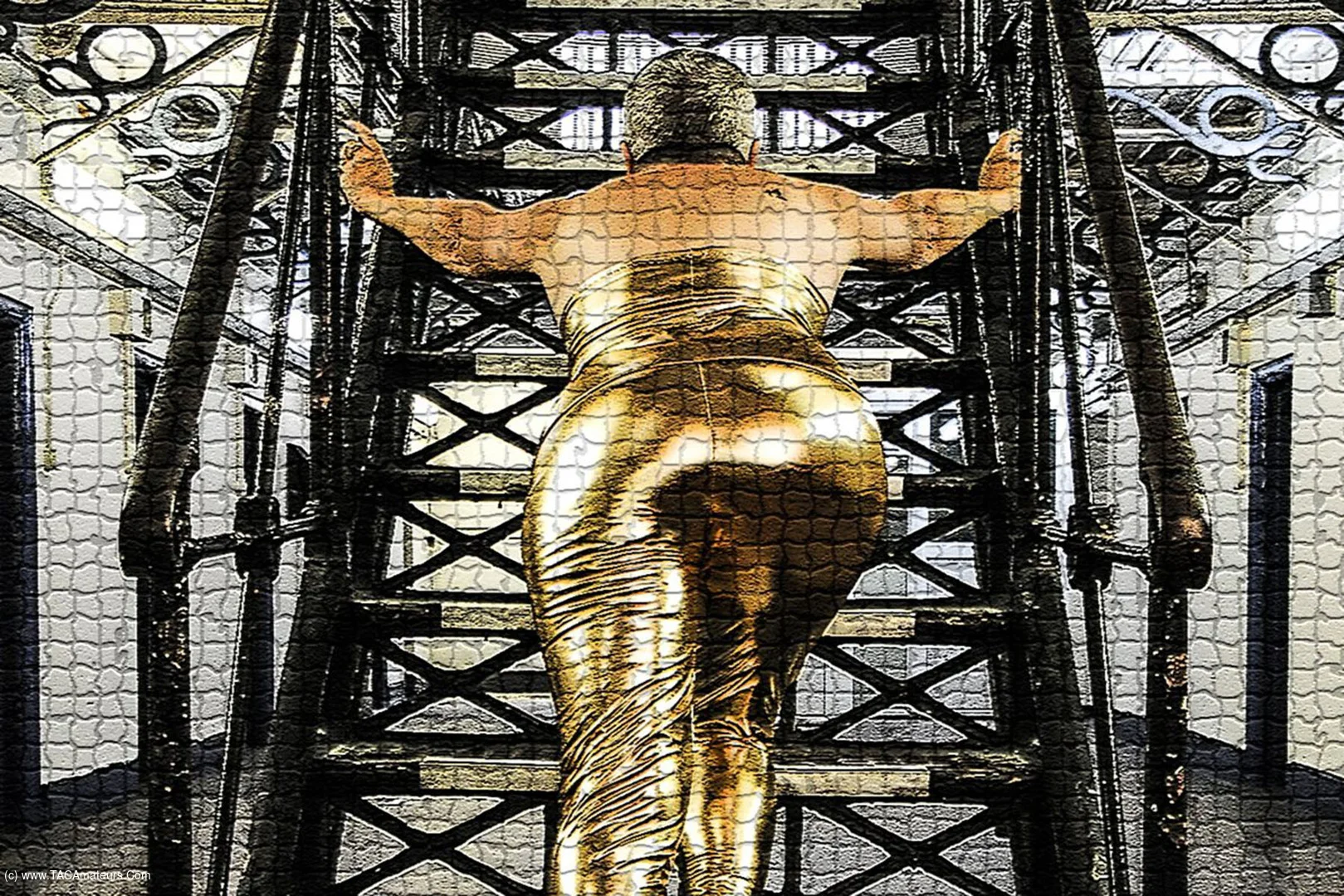 Golden Leggings & Black Evening Dress